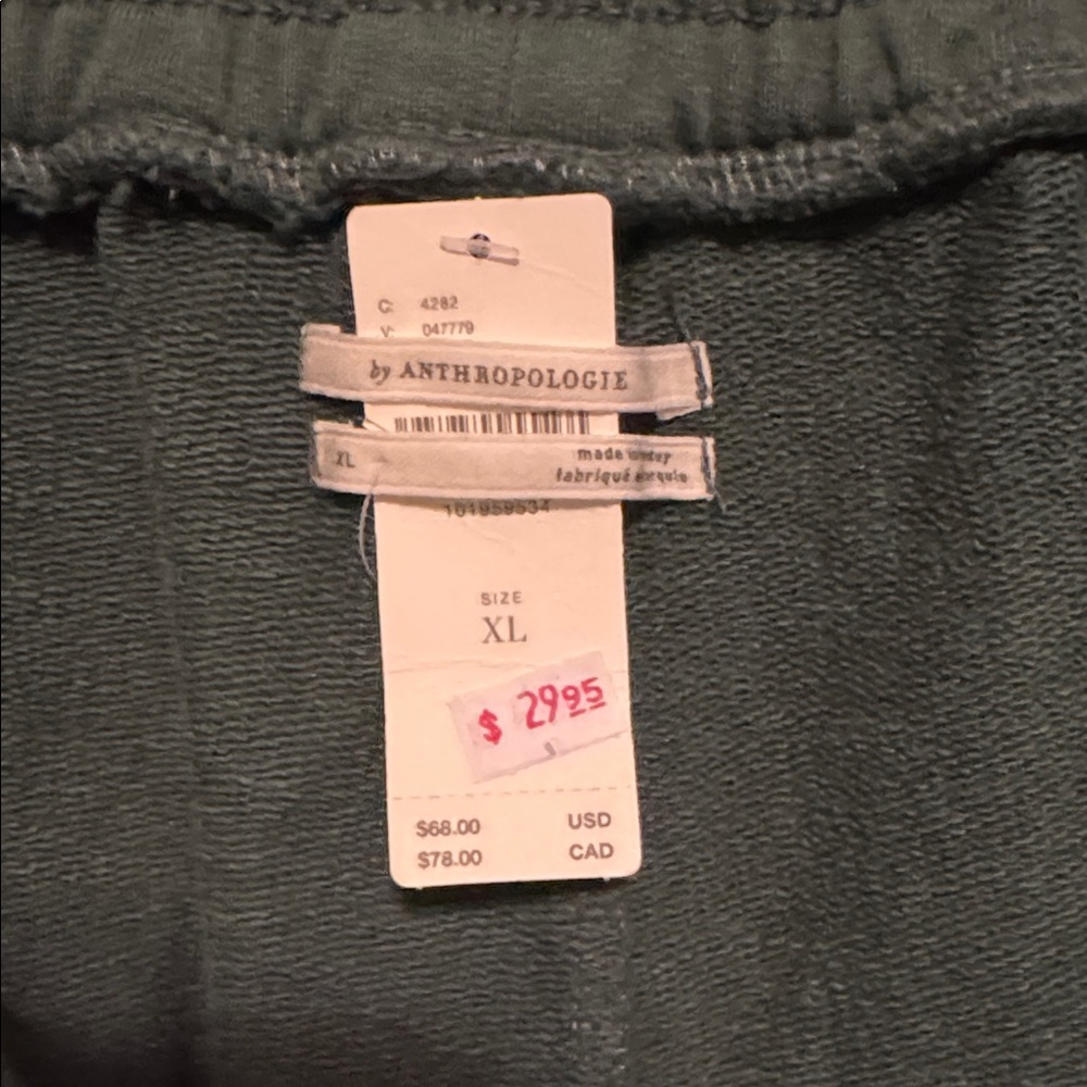 Anthropologie Green Athletic Shorts with Pink Drawstring - Picture 2 of 2